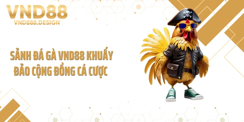Sảnh đá gà VND88 khuấy đảo cộng đồng cá cược