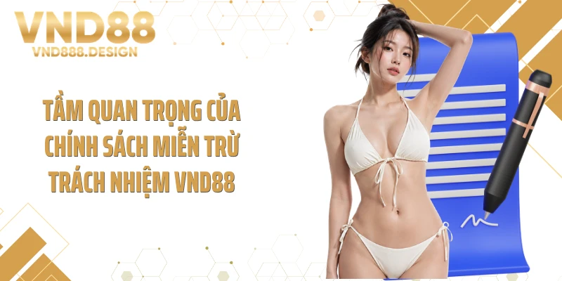 Tầm quan trọng của chính sách miễn trừ trách nhiệm VND88