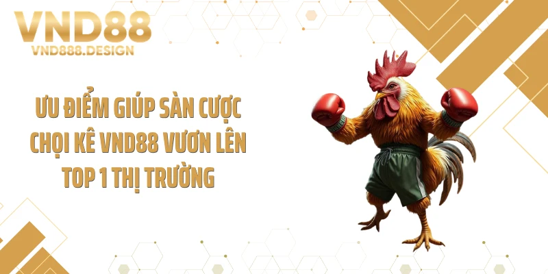 Ưu điểm giúp sàn cược chọi kê VND88 vươn lên top 1 thị trường