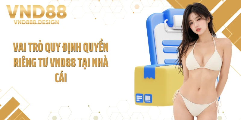 Vai trò quy định quyền riêng tư VND88 tại nhà cái